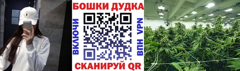 Магазины продажи наркотиков Ливны Гашиш  Бошки Шишки  СК  Меф 