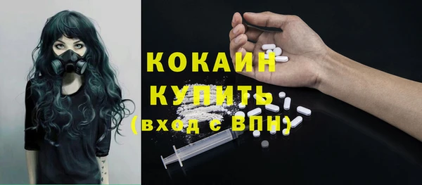 стаф Абинск