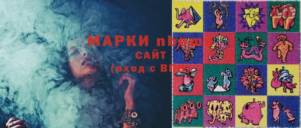 стаф Абинск