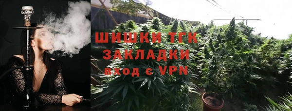 стаф Абинск