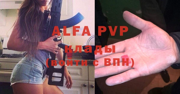 стаф Абинск